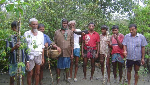 Biodiversity and inter-dependency in the Sunderbans