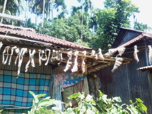 Food preserving techniques of rural women