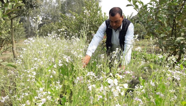 A man leading community towards agro-ecology