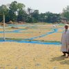 Our Soil is healthy because we don’t use chemical fertilizer