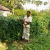 Dulal Mia’s Farmer’s Academy!
