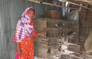 Resilient Sahida Begum is on the Path to Self-sufficient