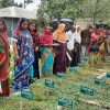 Experience exchange tour of practitioners of Coastal Agroecology Learning Center