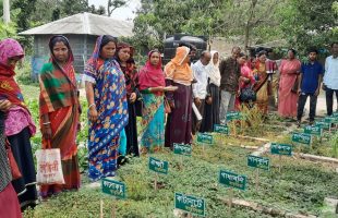 Experience exchange tour of practitioners of Coastal Agroecology Learning Center