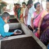 Vermicompost improves soil quality and helps produce safe food