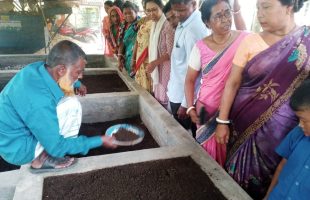 Vermicompost improves soil quality and helps produce safe food