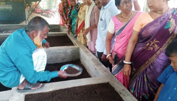 Vermicompost improves soil quality and helps produce safe food