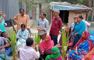 Training on Rice Variety Development held