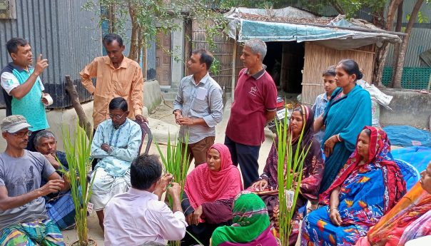 Training on Rice Variety Development held