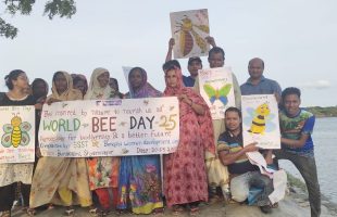 Commitment to Conserve Bees and Protect the Environment