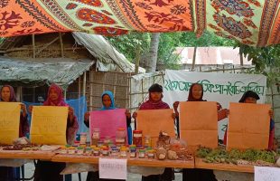 International Day for Biodiversity observed in Netrakona