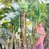A Tale of Hard Work, Skill, and Determination