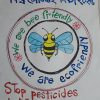 Protecting bees enhances environment health