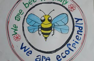 Protecting bees enhances environment health