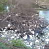 Action to Clean Up Pollution and Illegal Fishing Nets Demanded