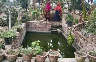Shilpi Begum’s Success in environment friendly Farming