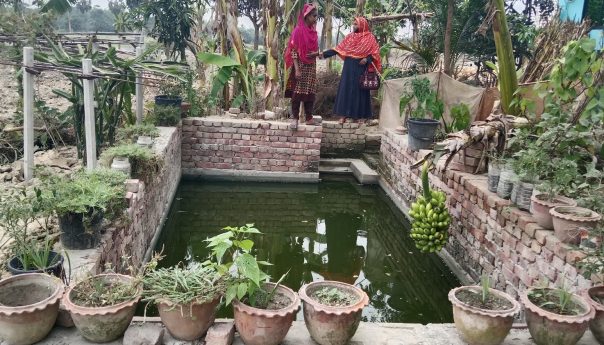 Shilpi Begum’s Success in environment friendly Farming