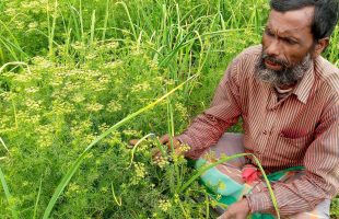 Shahid Biswas to Be Remembered as a Farmer-Researcher