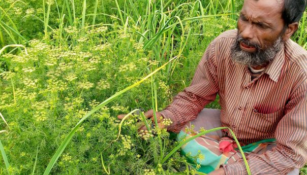 Shahid Biswas to Be Remembered as a Farmer-Researcher
