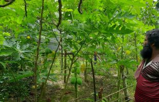 From Slum Day Laborer to Urban Farmer