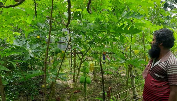 From Slum Day Laborer to Urban Farmer
