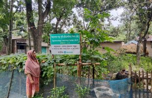 The Story of Bilnepalpara Agroecology Learning Center
