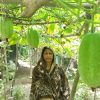 ‘Shotobari’ Farmers contribute to producing safe foods