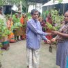 Fruit Tree Saplings Planted in Char Areas of Harirampur