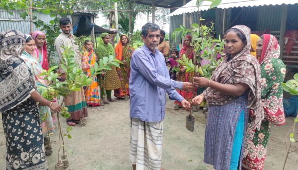 Fruit Tree Saplings Planted in Char Areas of Harirampur