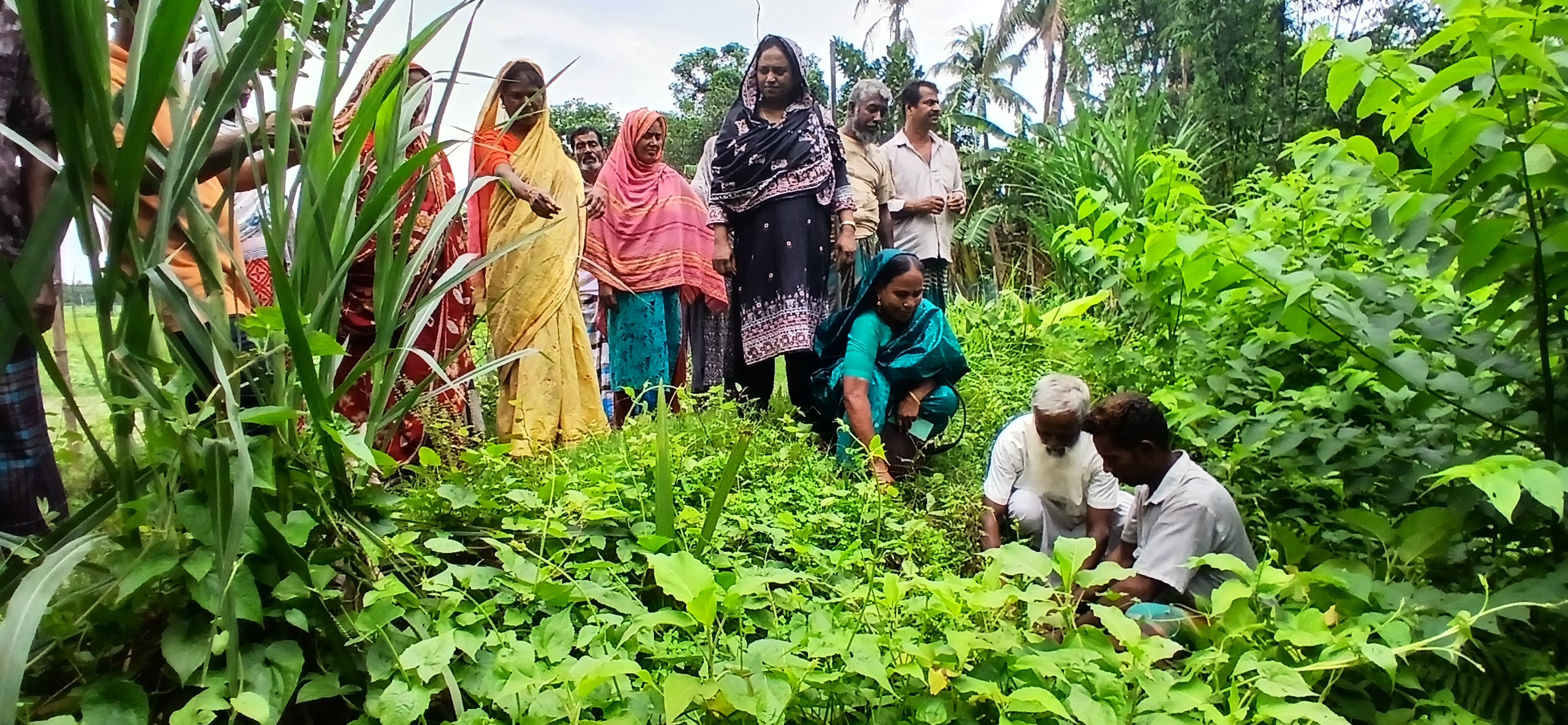 The Green Coalition initiative to protecting environment and ecology