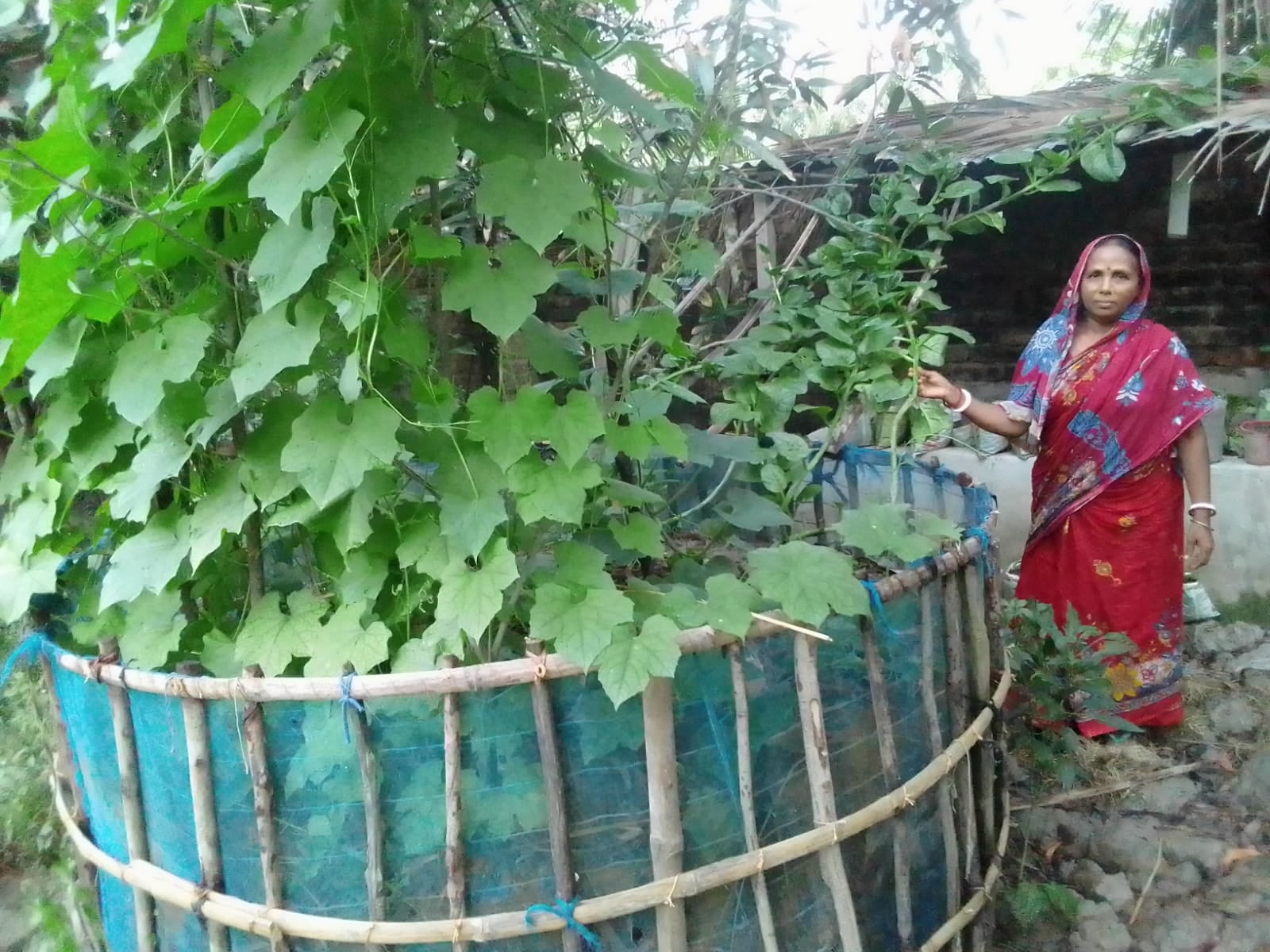 Sarma Rani cultivates the Dream of Climate-Resilient Farming in the Coastal Belt