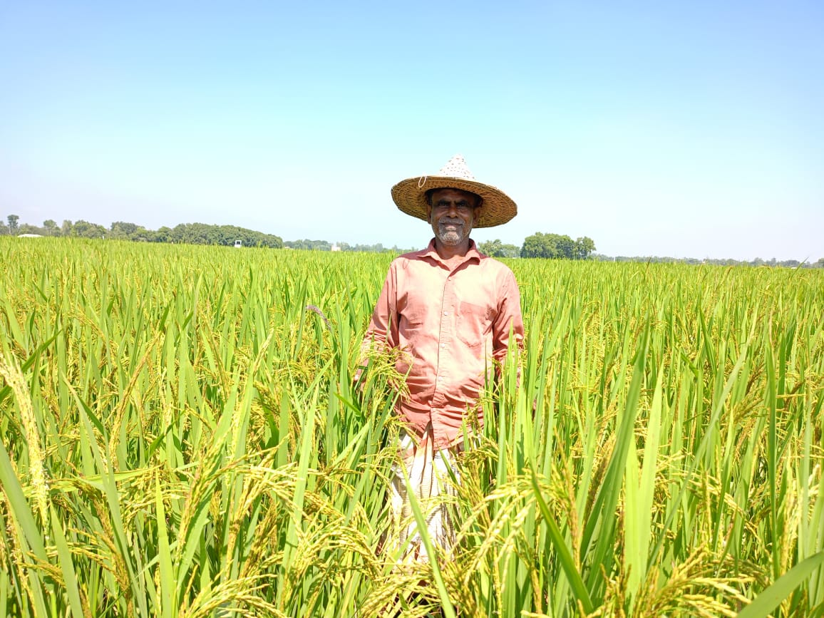 Rain-Fed Aman appeared once Again after two decades in Barind region