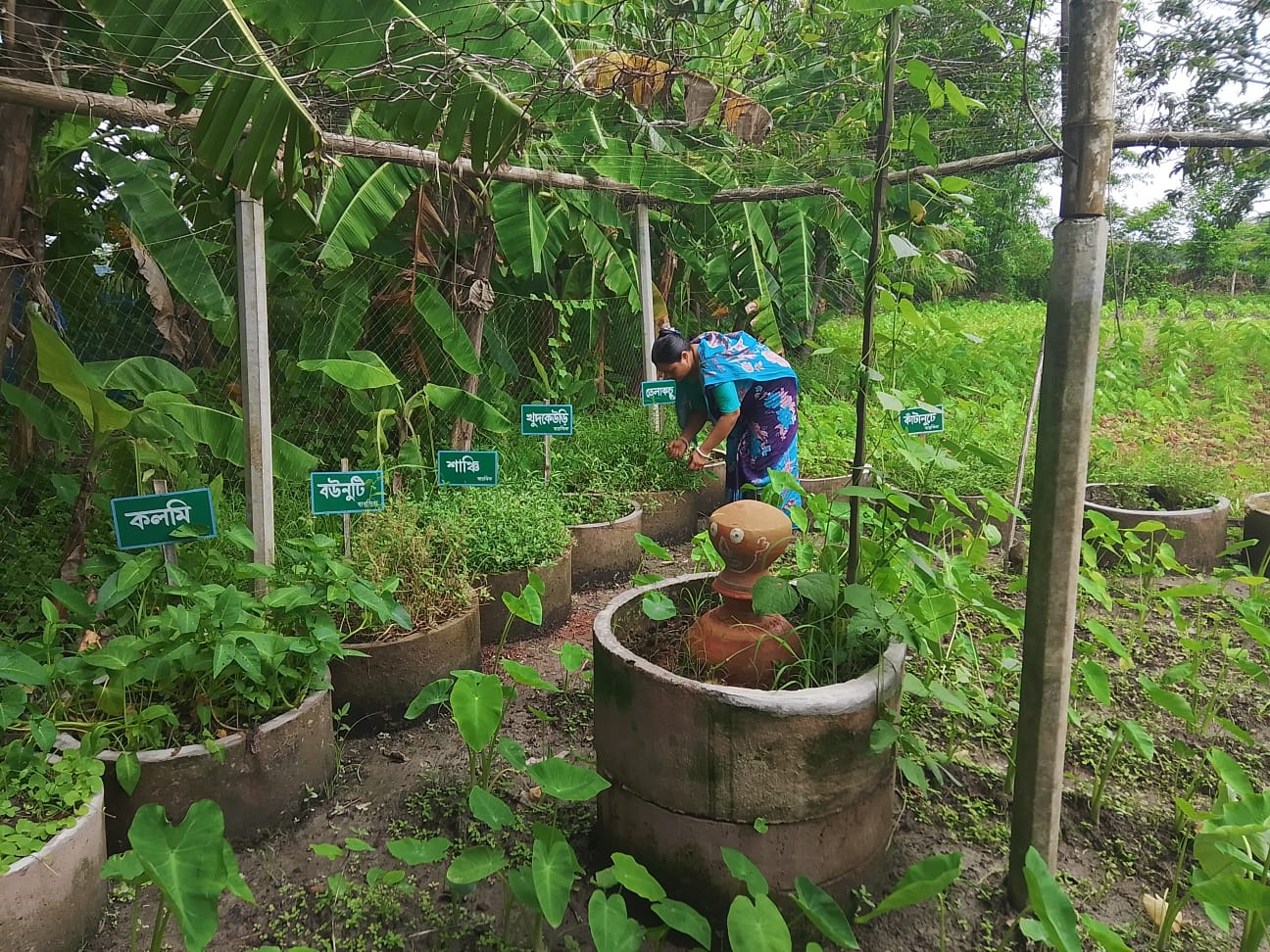 Kanika Rani’s Success in Practicing nature based farming to tackle climate risks