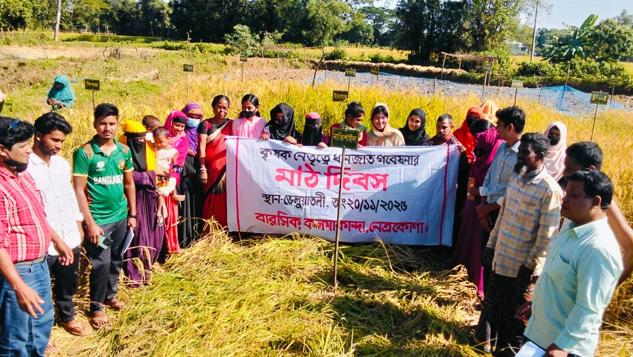 Farmers Lead Rice Research Field Day in Veluatali Village