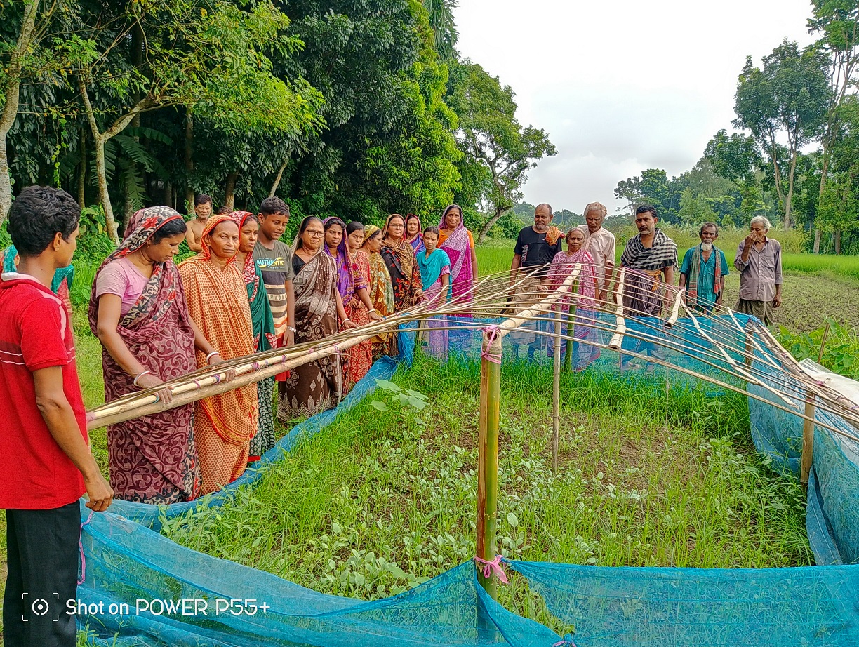 Raising Seedlings on homesteads and high Ground