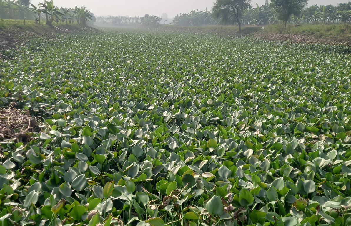 Farmers demand restoration of Natural Flow in Bil Falia Canal