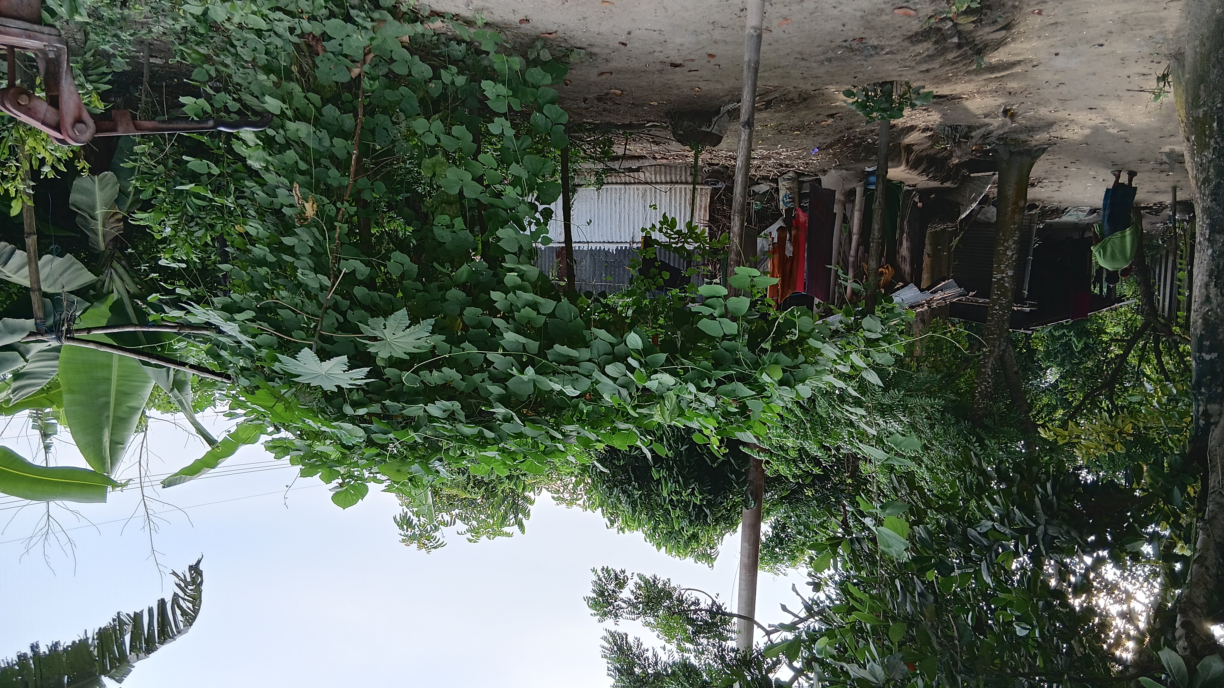 With a handful soil and a heart full of courage, lives are changing in the slum