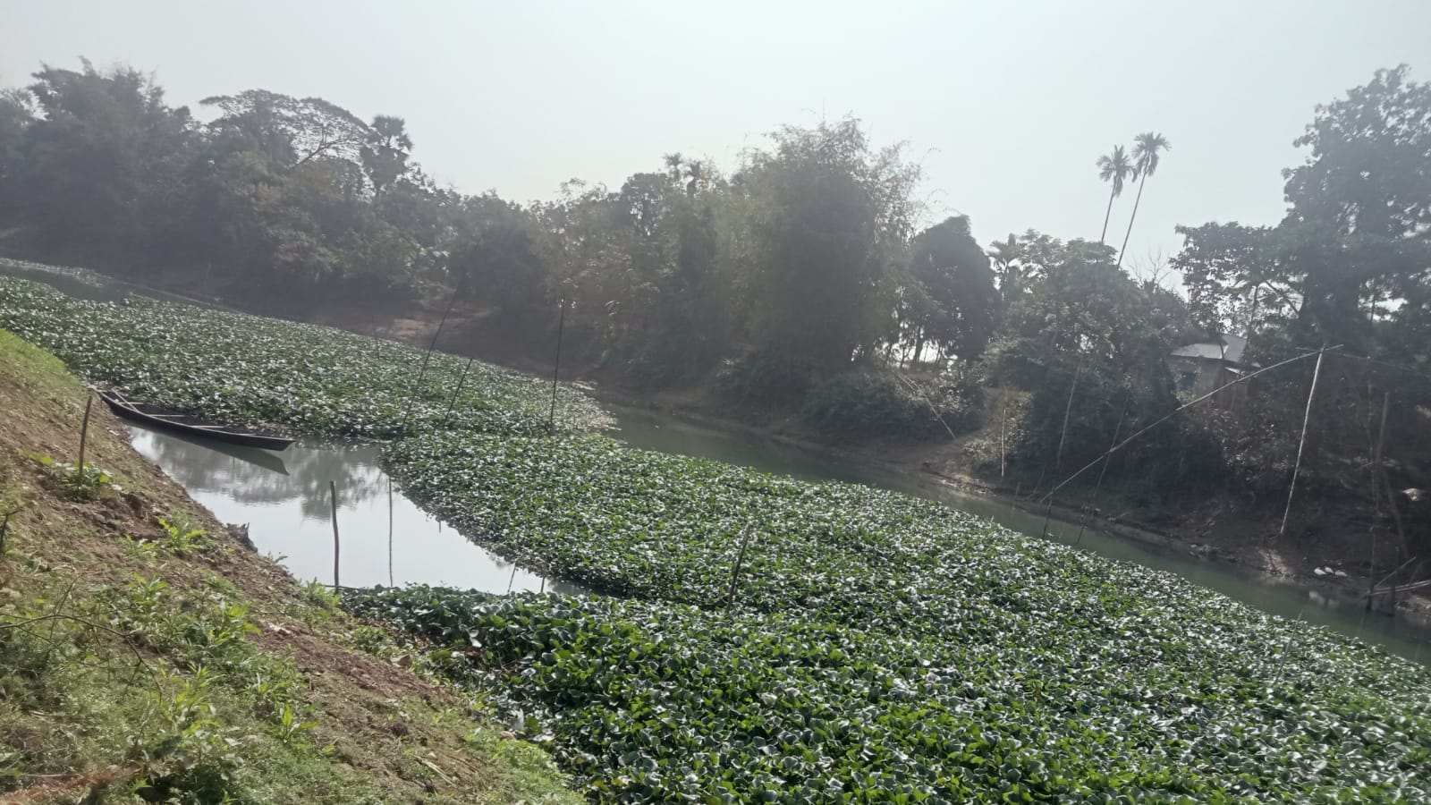 If Mogra River dries, life will fade