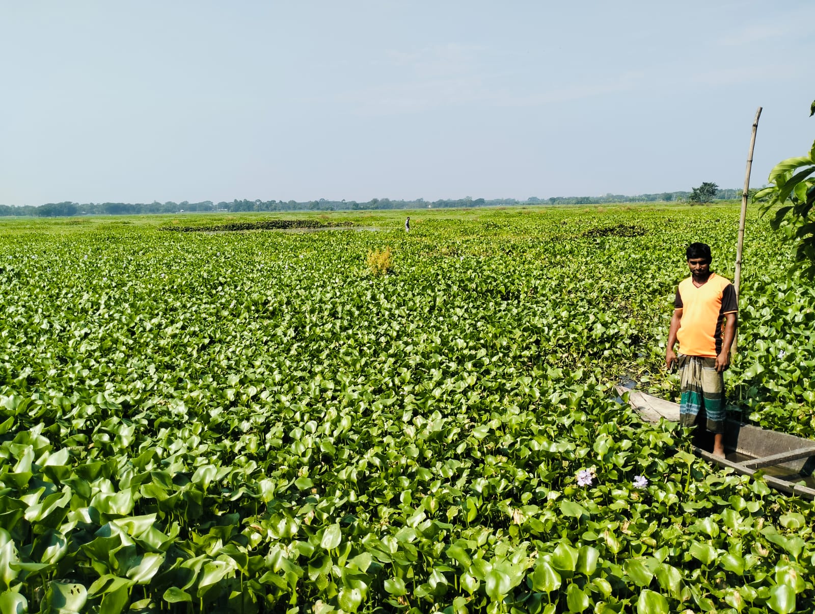 Gobindachatal Beel is blessing for wetland community