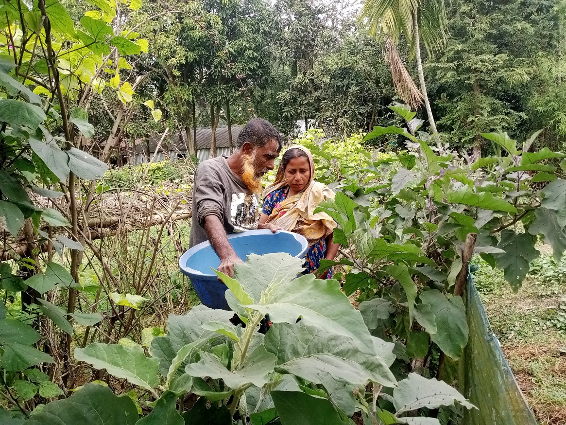 Chang Bed Method brings success in vegetable cultivation