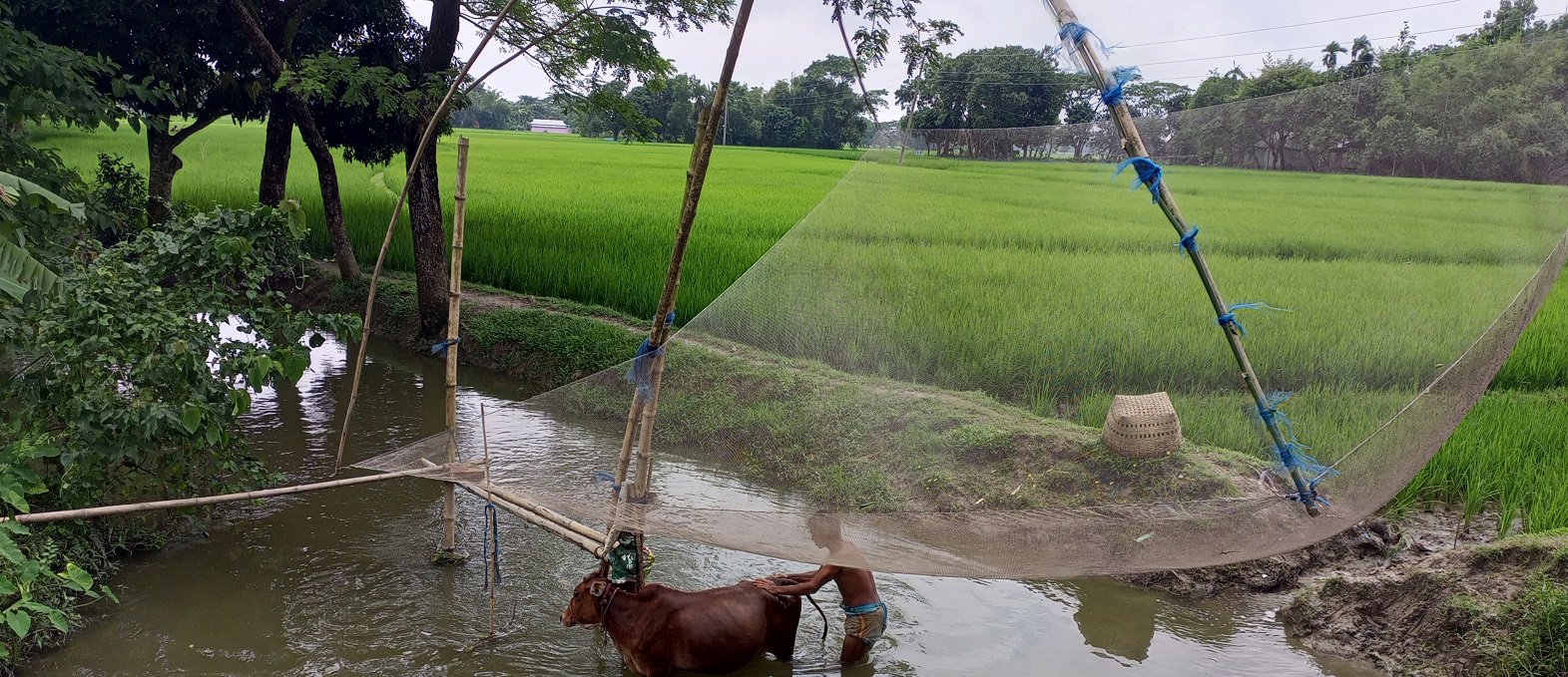 The Contribution of a Canal