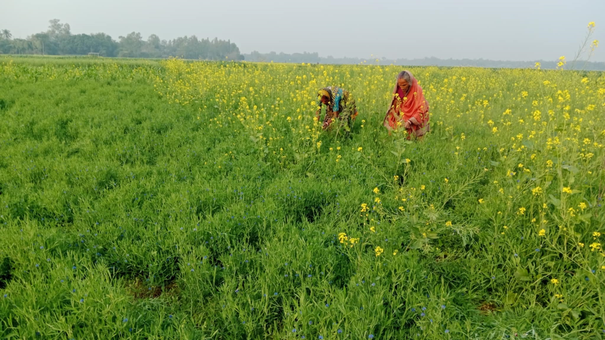 The success story of Joynagar Agroecology Learning Centre