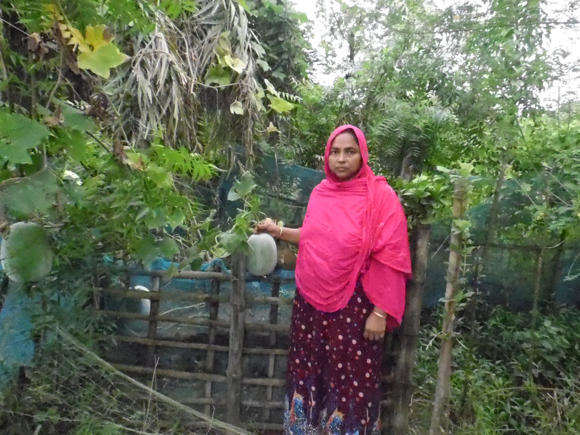 Rabeya Sultana succeeds in Tower Farming on Saline Soil