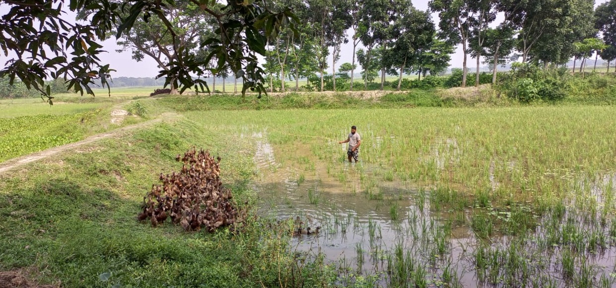 Using Natural Resources makes a farmer financially solvent