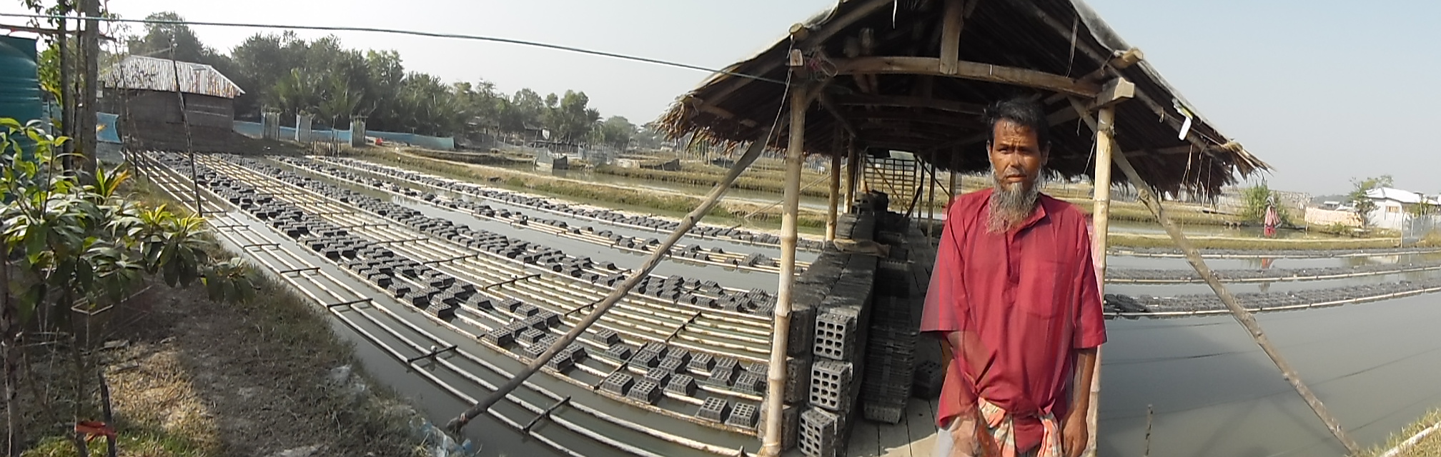 Sobed Ali now economically solvent