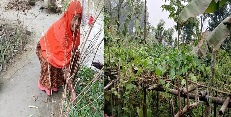 Bachia Begum turns her homestead into a family nutrition hub