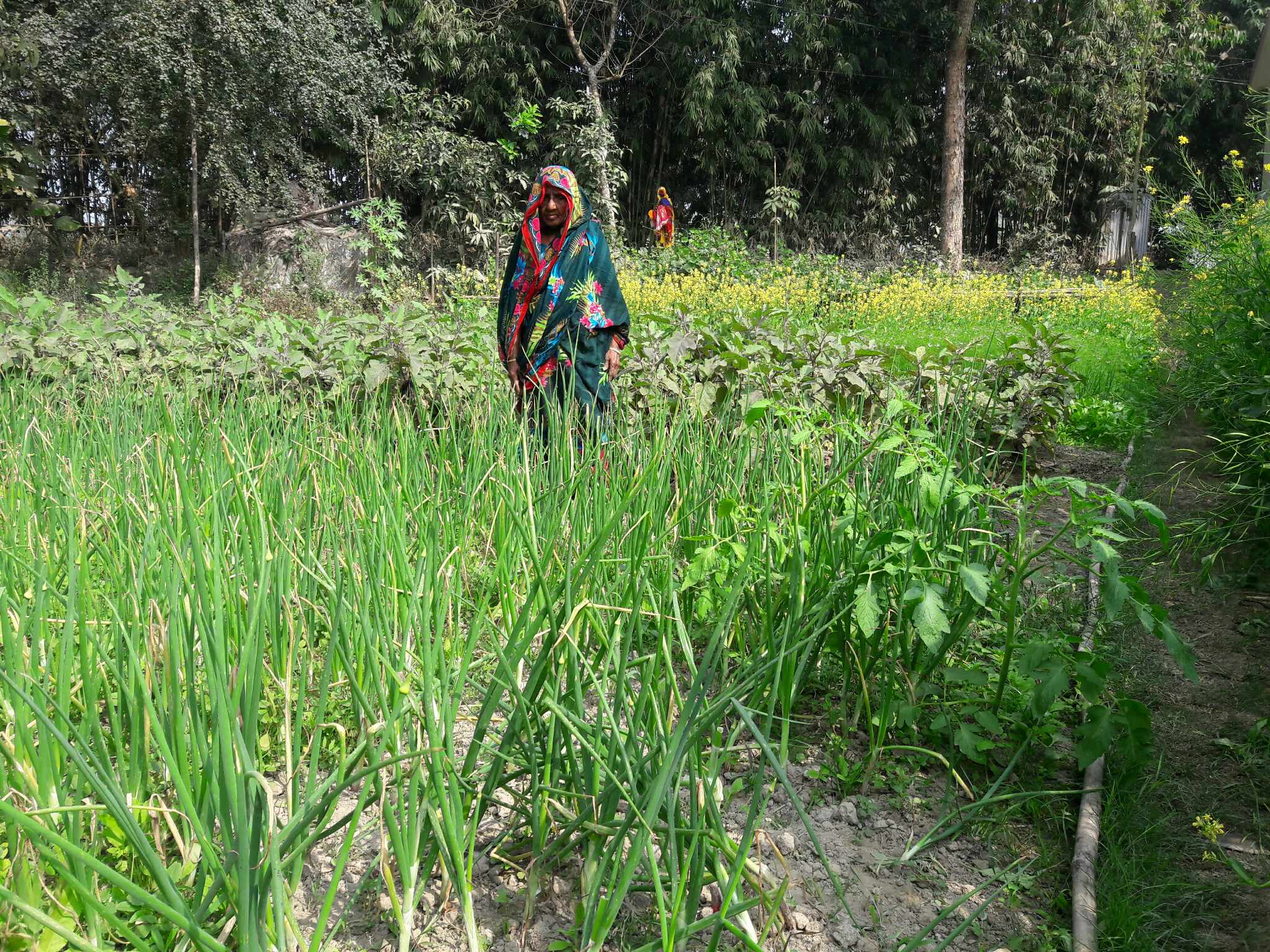 Sufia Begum produces safe foods
