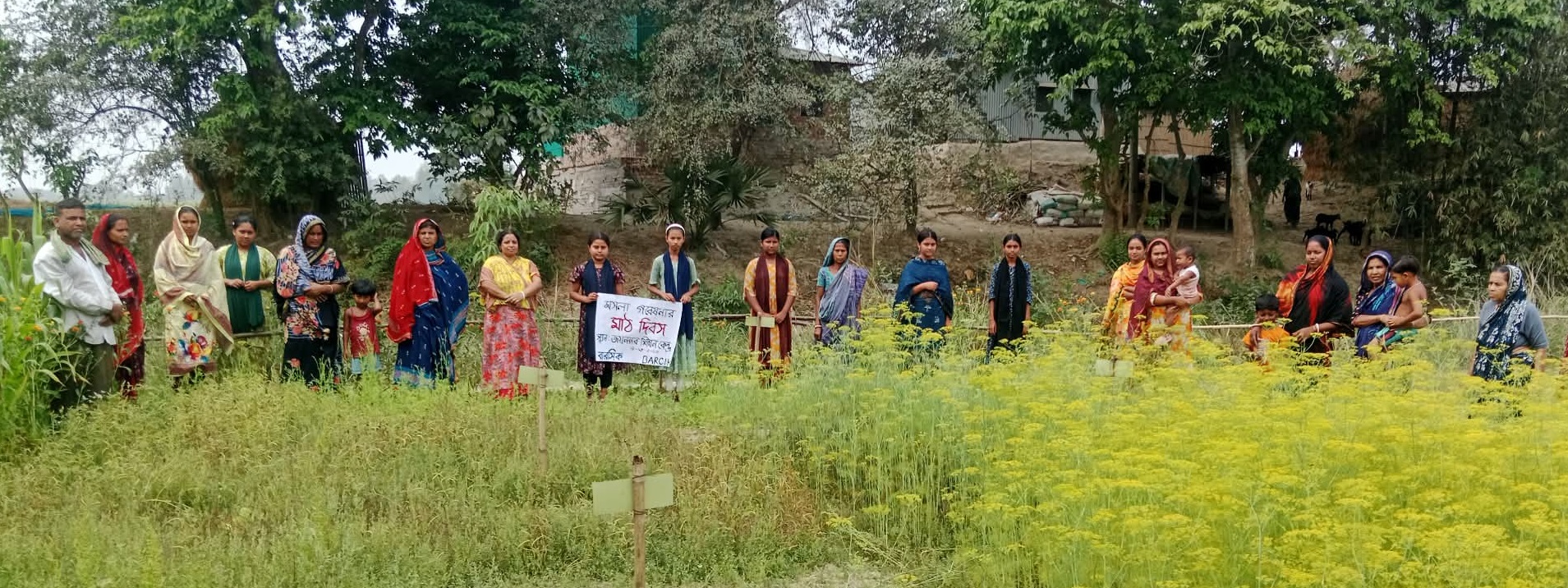 Spice cultivation profitable for farming families