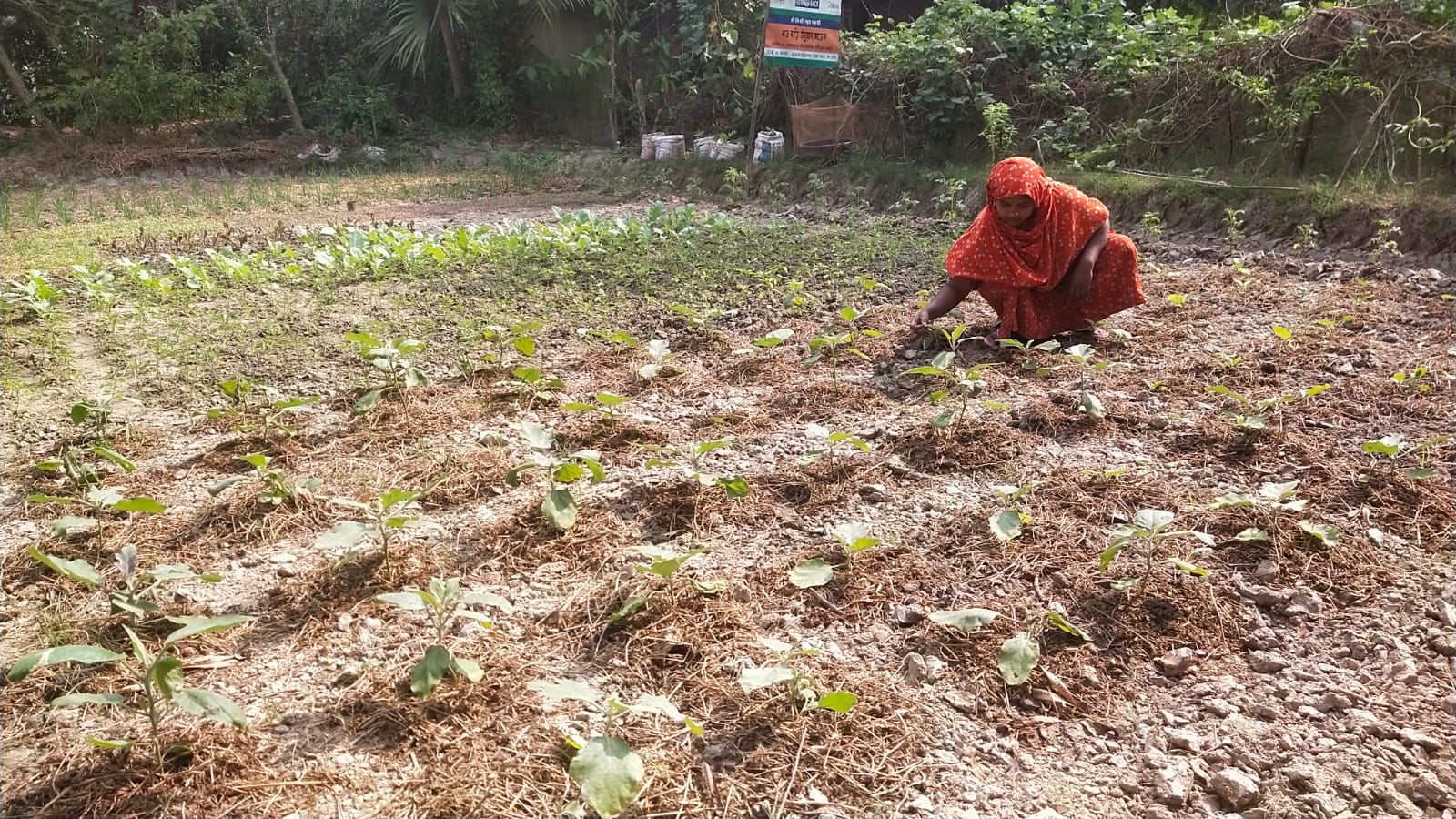 My mother-in-law no longer works as a laborer: Sofiron Begum