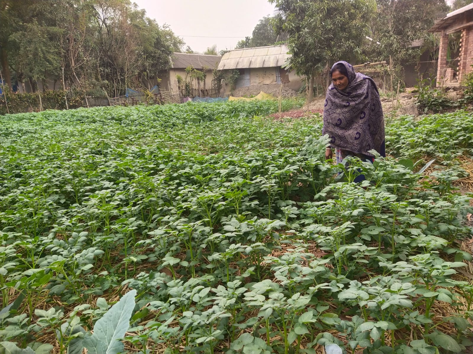 Agroeocolgical practices strengthen women’s empowerment